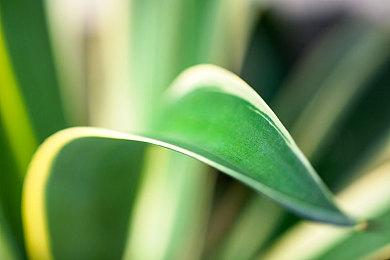 《狭间格斗》开发商推出同类风格新作《狭间骑士》